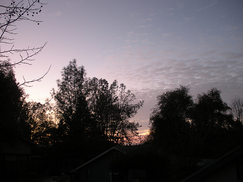 Sunset with Pink and Purple