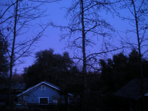 1 14 11 Purple sunrise