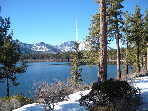 Fallen Leaf Lake with Snow and Trees