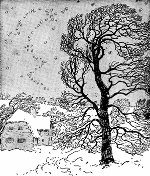 Winter House and tree