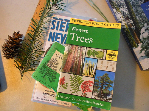 Tree Field Guides