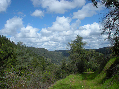 Trail and Clouds