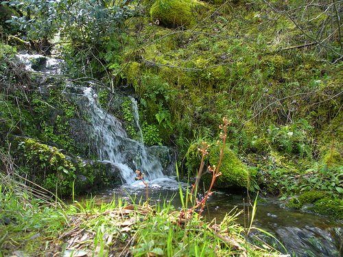 Waterfall 