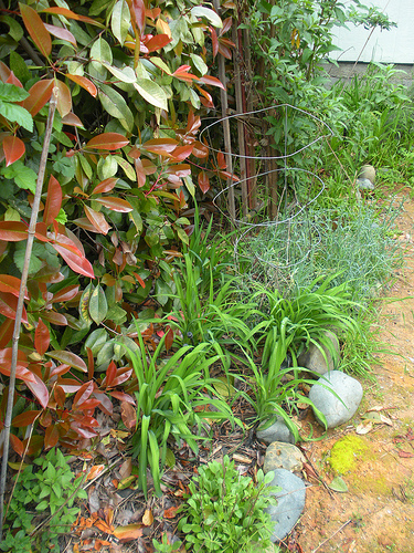 4 18 11 Butterfly Garden with notes