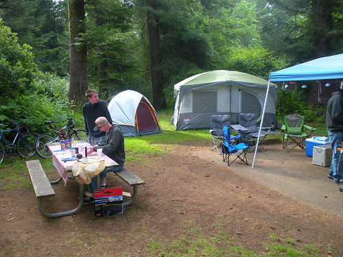 Campsite and trees