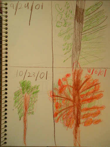 Nature Journal Tree Observations