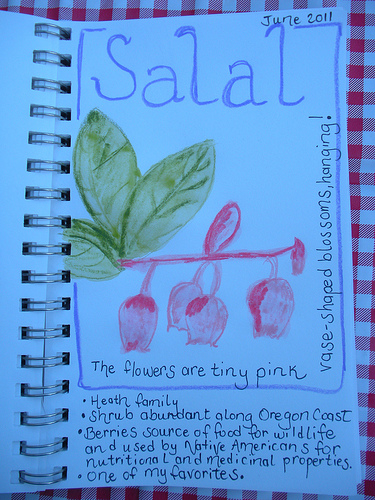 Salal Nature Journal with Watercolor Pencils