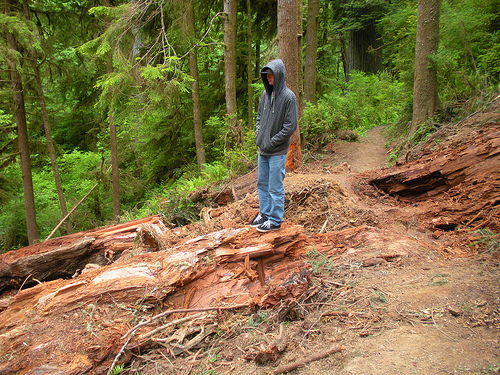 Jedidiah Smith Redwoods Trail