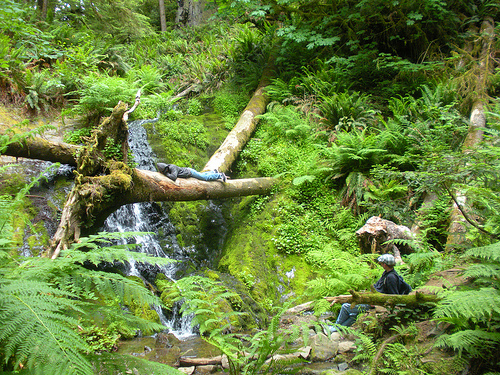 Fern Falls Hiking