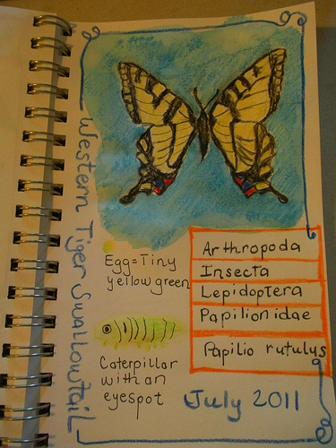Tiger Swallowtail Nature Journal