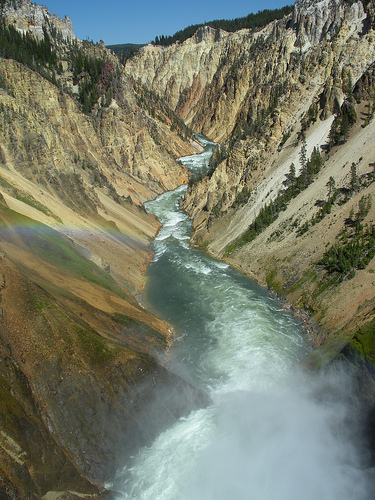 Brink of Lower Yellowstone Falls