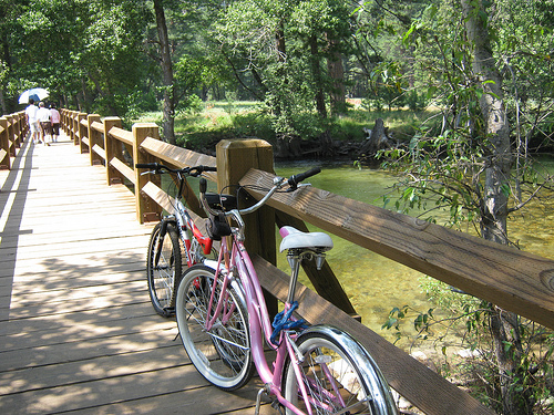 Yosemite Bikes at the River