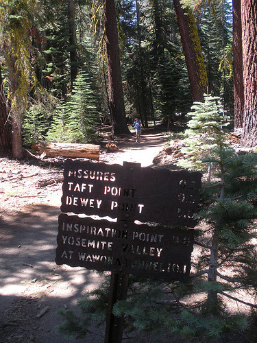 Taft Point Trail