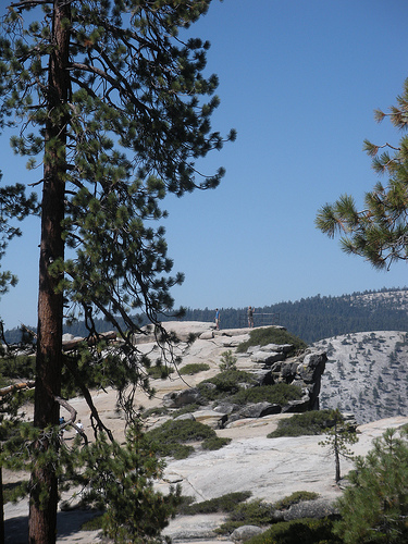 Taft Point 