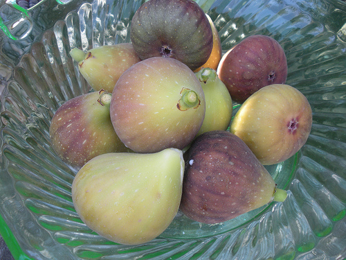 Bowl of Figs