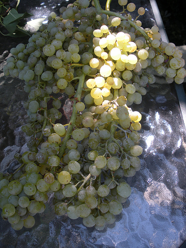 Grapes