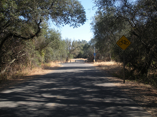 Bike Ride American River Trail 3