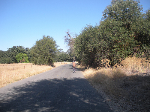 Bike Ride American River Trail 1