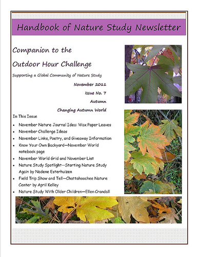 November Newsletter Cover Image