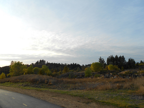 Autumn Landscape