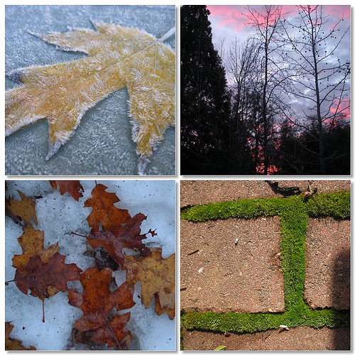 Winter Color Mosaic