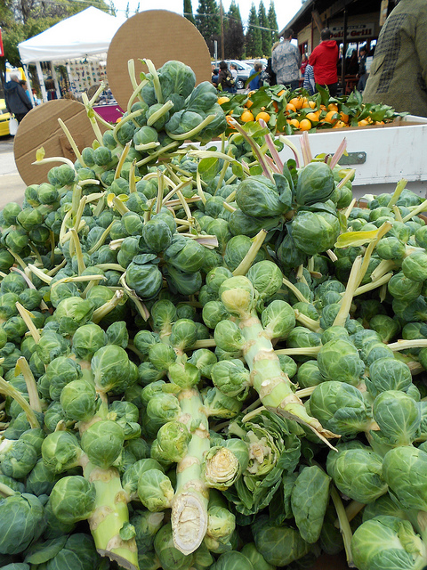 Brussel Sprouts at the Farmers Market