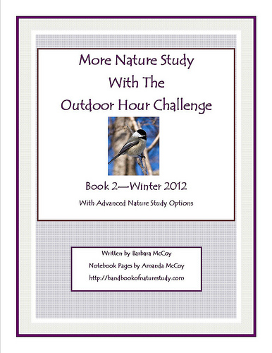 More Nature Study Book 2 Winter Wonder cover