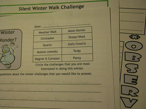 More Nature Study Winter Challenge 1