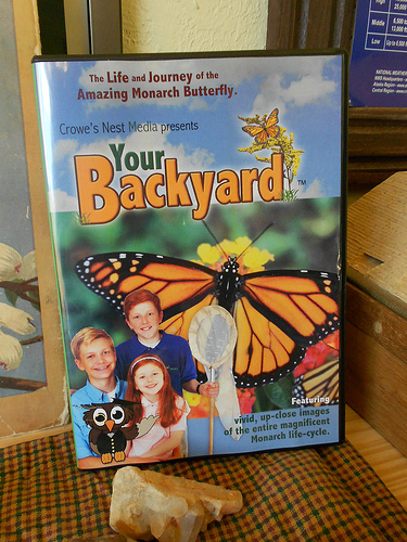 Your Backyard DVD Monarch Butterfly