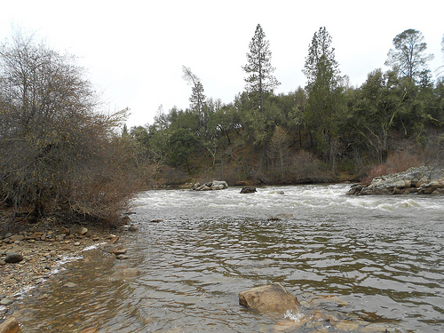 Winter River Scene