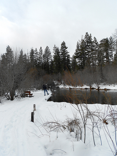 Snowshoe Taylor Creek