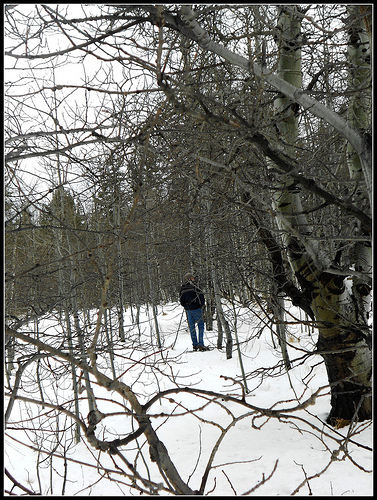 Winter Snoeshoe Hike