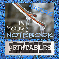 Nature in Your Notebook Link-Up