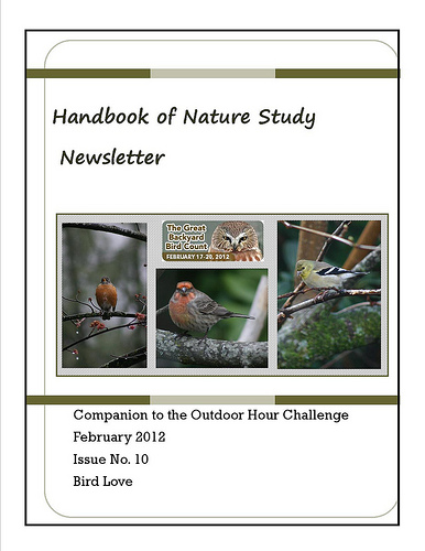 Feb 2012 Newsletter Cover Button