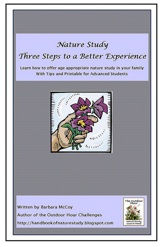 3 steps to a better nature journal experience