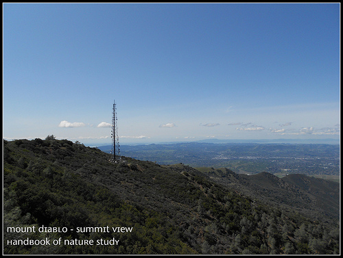 Mt. Diablo View from Summit