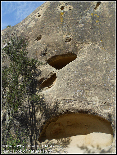 Mt. Diablo Rock City Sandstone caves