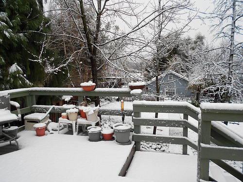 Snow on the Deck - Winter 2012