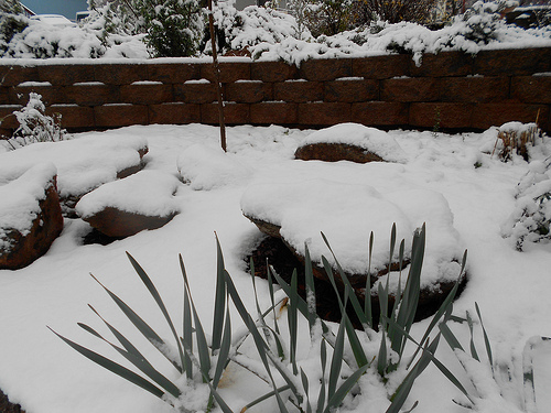 Snow on the rocks