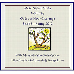 More Nature Study Book 3 Button
