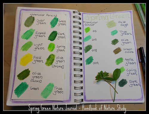 Spring Green journal with colored pencils
