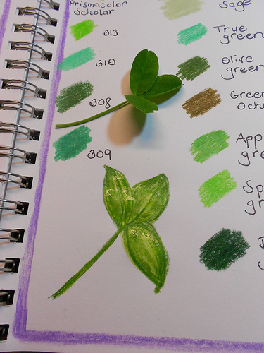 Spring Green journal - sketching a leaf