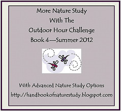 More Nature Study Book 4 Summer Button for blog