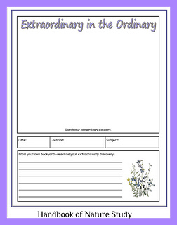 Extraordinary in the Ordinary notebook page button