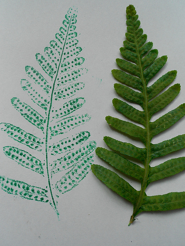 Fern Prints With Ink