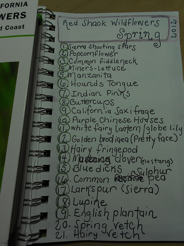 Running List - Wildflowers by location