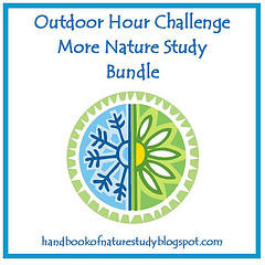 More Nature Study Bundle Button - Square