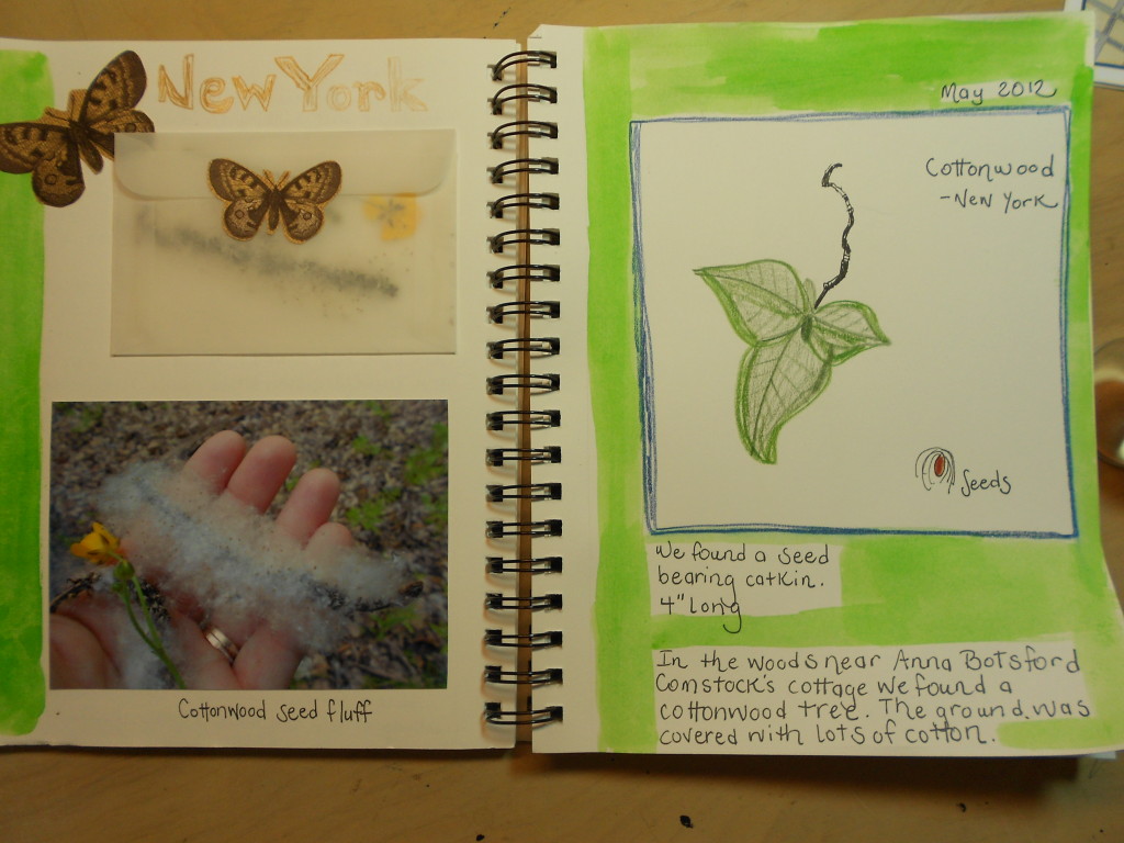 Cottonwood nature journal