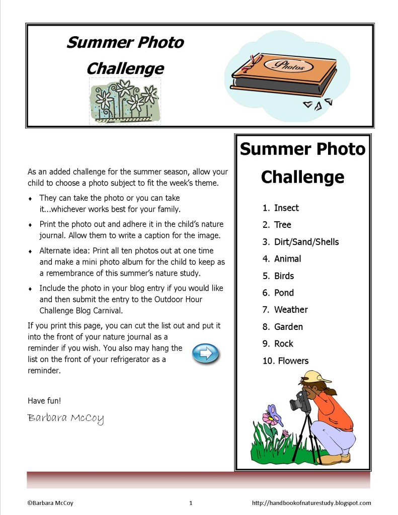 Summer Photo Challenge