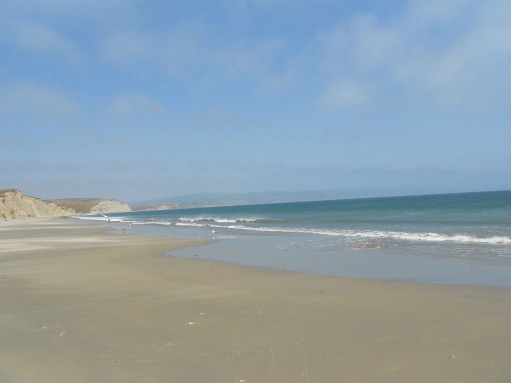 Drakes Beach Pt Reyes 